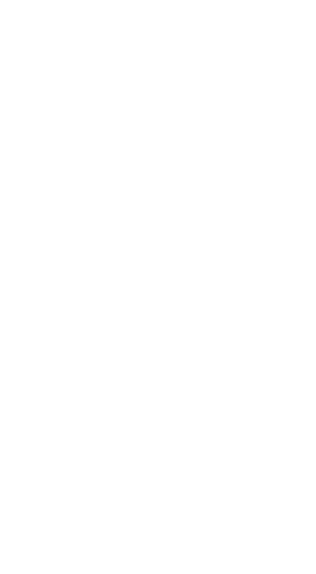 Example Image