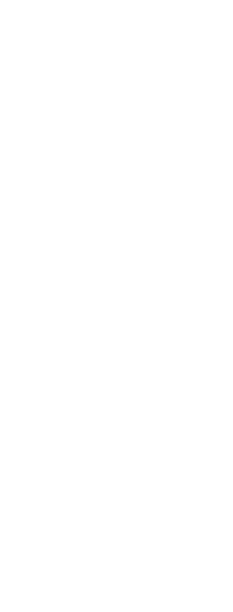 Example Image